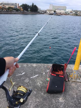 初釣り！