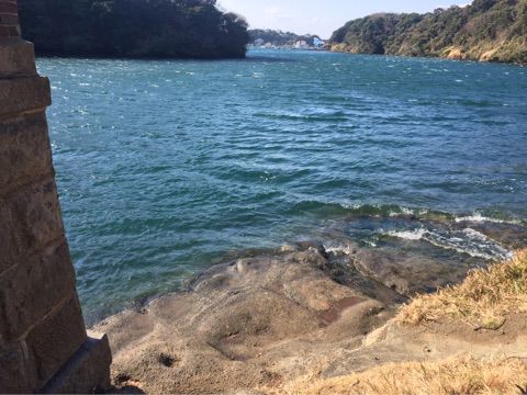 釣り場:神奈川県三浦市 油壺湾 検潮場下 [ここはアイゴの聖地]