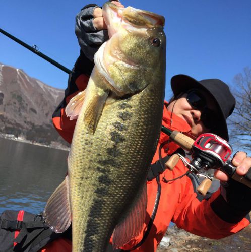 巻くだけで釣れるならウチの息子にも使えそうですなブギーバック～