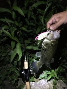 50UP出たー！バイブレーションで夜釣りを極める@琵琶湖バス釣り 2017年6月10日