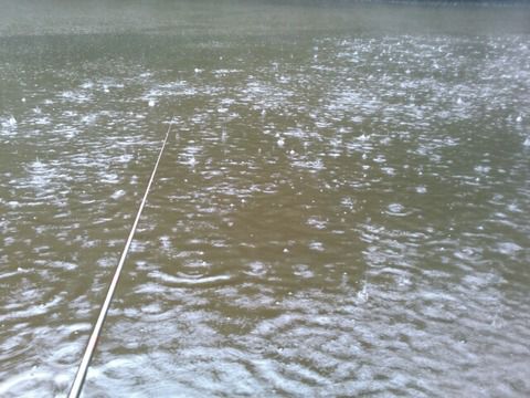 大雨のヘラブナ釣り