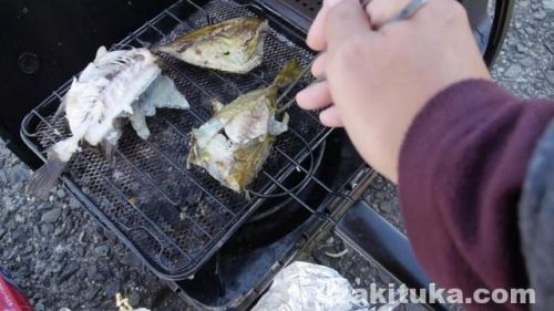 【釣り】香川県瀬戸大橋記念公園西側