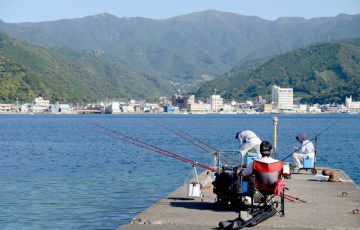 【臨時更新】兵庫県で釣りするならココ！おすすめの釣りスポット18選について解説する。