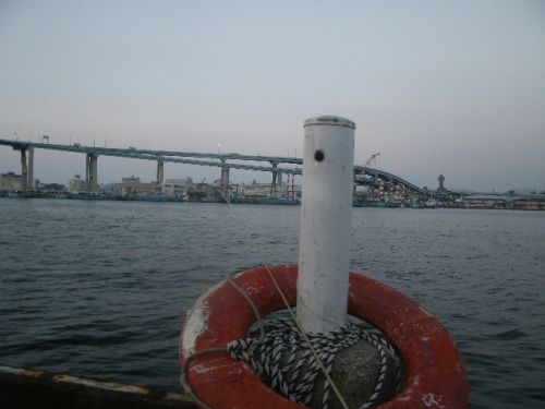 最高気温３６度の福岡市の夕方に須崎埠頭で釣れたチビメイタ
