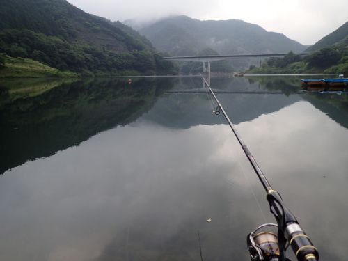 ニジマス狙いは厳しい、と分かっていても行ってみた梅田湖朝イチ釣行。（2017年7月下旬）