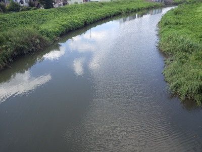 埼玉のとある川でスッポン釣り　