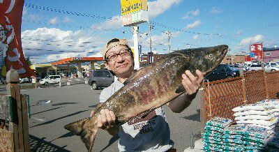 函館市近郊の鮭釣り！
