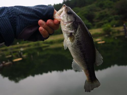 体育の日は釣りへ