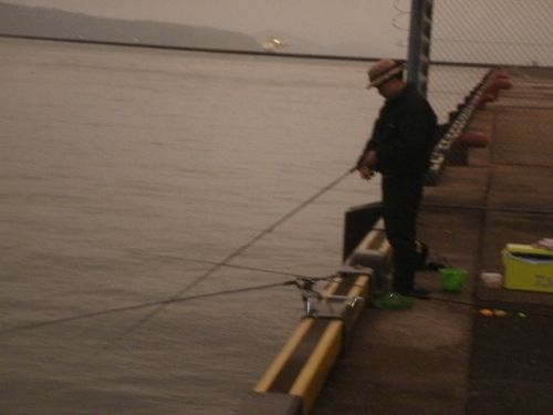箱崎バナナでメバルハンターは九目釣りの小物釣り師と化した！