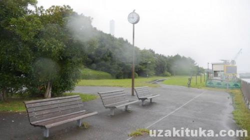 夢の島緑道公園「釣りはオススメできない」東京都11月