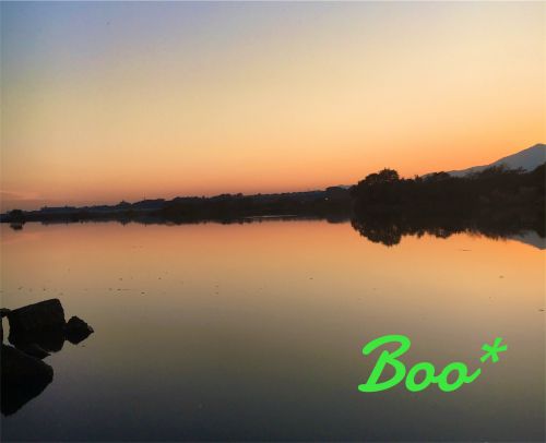 【12月上旬】晩秋の相模川でバス釣り。水の中はまだまだ秋？
