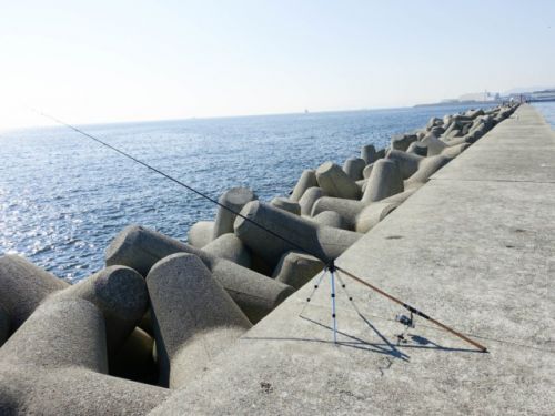 初めての海釣りにおすすめ！1本で色々使える万能竿の特徴と選び方