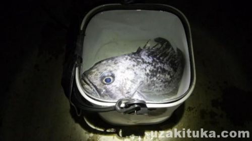 平潟港の釣り場「クロソイ釣って食べる！」茨城県2月
