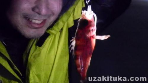 大津港の釣り場「メバル釣って食べる！」茨城県2月