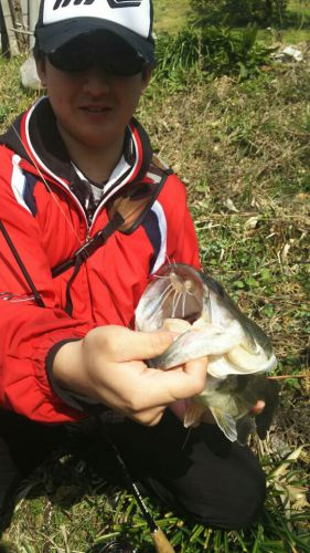 愛媛県釣果情報