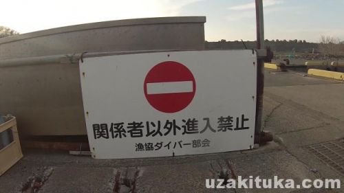 八木沢港の釣り場「進入禁止」静岡県3月