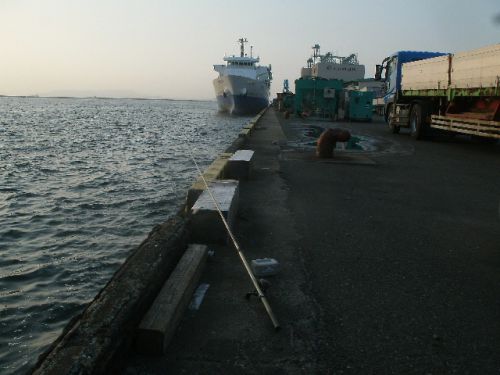 メバル探索のために須崎埠頭に行った博多の釣りバカ