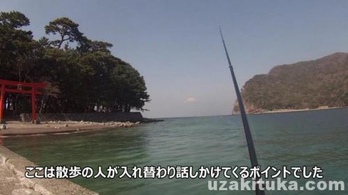 戸田港の釣り場「ネンブツダイ釣れた！」静岡県3月