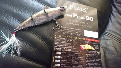 【新作ルアー】BIOVEX JointPopper90、簡略インプレ