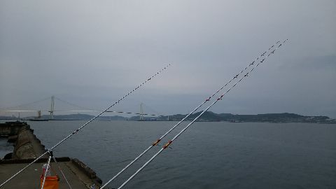 室蘭港での釣り！