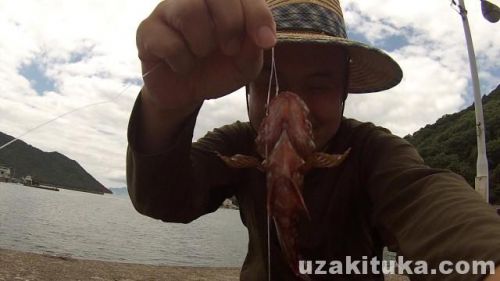 【釣り】岡山県「日生港」カサゴ釣れた！
