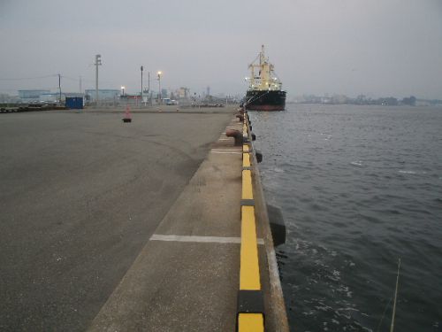 箱崎埠頭のポートオブ博多の釣り場からアイランドシティの釣り場に移動してみると！？