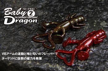 ベビードラゴン　浜名湖クロダイ、キビレ釣りに