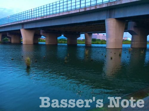 相模川でバス釣り〜有名スポットで釣るなら朝マヅメが最大のチャンス？