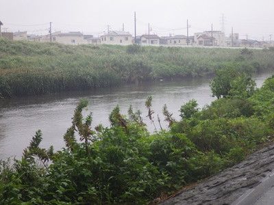 埼玉のとある川でスッポン釣り　２０１８