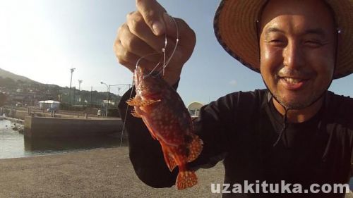 【釣り】壱部浦港（長崎県平戸市）でベラ釣って食べる！