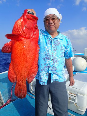 沖縄　フィッシングボートゆりかで泳がせ釣り