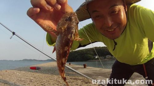 【釣り】崎針尾漁港（長崎県佐世保市）でカサゴ釣って食べる！