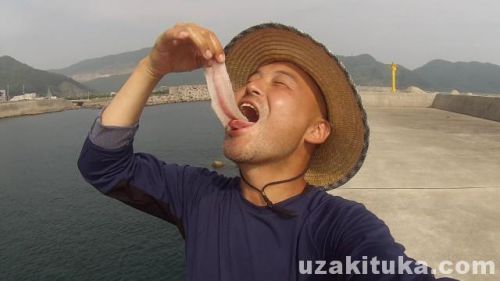 【釣り】小江魚港（長崎県長崎市）でシイラ釣って刺身食べる！