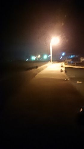 夜釣り(/・ω・)/GO！