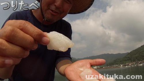 【釣り食べ】姫戸漁港（熊本県上天草市）カサゴ刺身食べる！【車中泊】