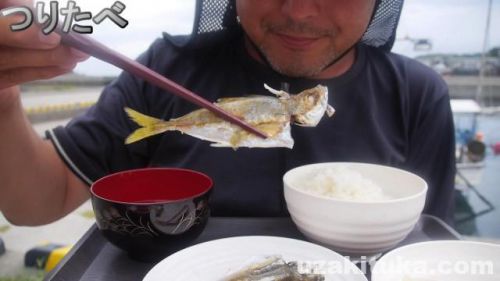 【釣り食べ】金山漁港（大分県大分市）釣った関アジを食べる！