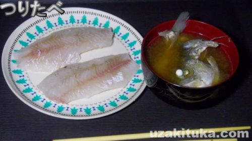 【釣り食べ】須佐漁港（山口県萩市）釣ったシーバスを刺身で食べる！