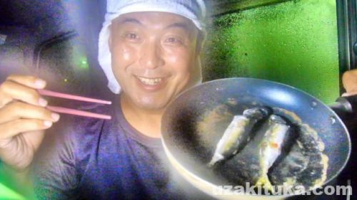 【釣り食べ】温泉津漁港（島根県大田市）釣ったアジとサバを焼いて食べる！