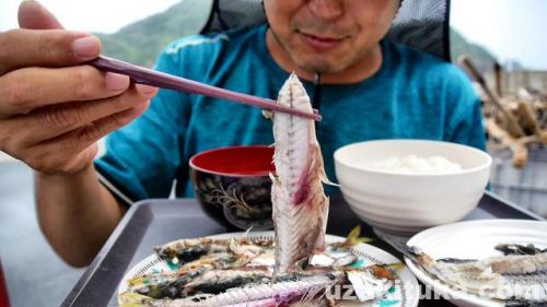 【釣り食べ】五十猛港（島根県大田市）釣ったサバとメジナを焼いて食べる！