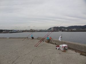 12月7日淡路島カレイ釣り、津名港志筑新島砂置き場