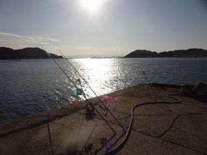 1月18日　カレイ釣行淡路島南淡福良湾沖水産前