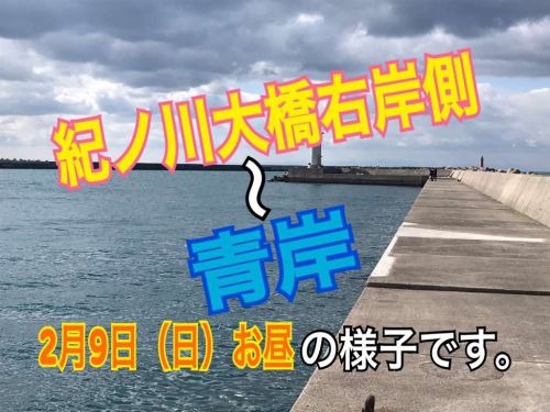 和歌山釣果〝紀ノ川大橋～青岸〟の様子です！９日お昼