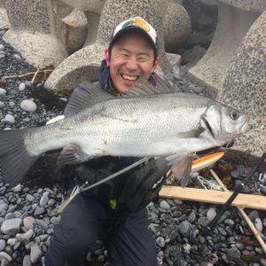 長崎のアジング＆ヒラスズキ釣りでアジ釣りにハマってアジめっちゃ釣りました！2020年の釣り始め！