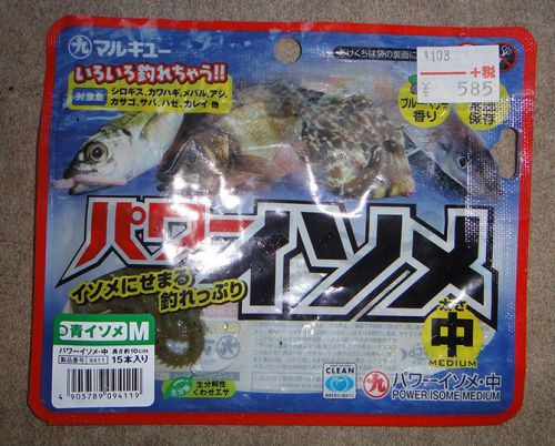 日本海の白鱚で刺身を作ってみた！日本海のシロギス釣り #006
