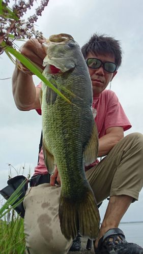 6/30釣果情報!