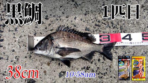 苦手な潮の流れ！周防大島の黒鯛（チヌ）釣り #020