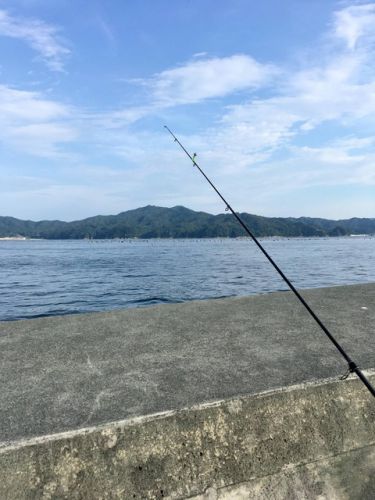 【画像】東北で海釣り～アナゴの数釣り挑戦編～