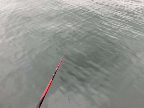 3週間ぶりの釣りなのに雨と長潮で釣果は？！9月下旬の磯子海づり施設へ釣りに行ってみました。