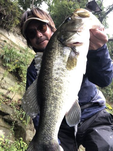 23日釣果情報
