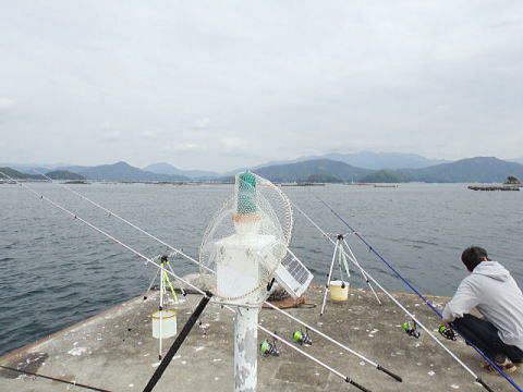 釣り場の広さを最優先、、、 愛媛県・宇和島市 / 宇和海 (1日目)